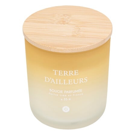 Bougies Parfumée - Sana 255g