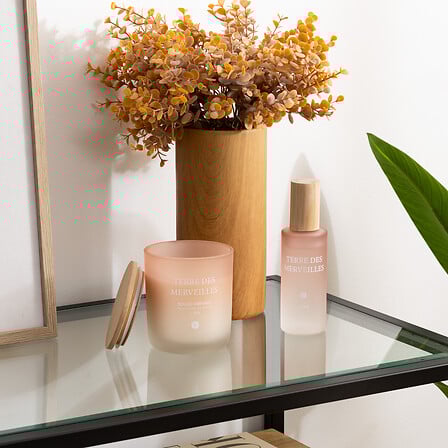 Bougies Parfumée - Sana 255g