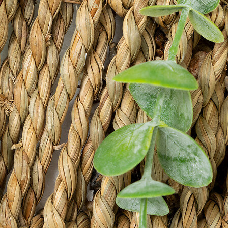 Eucalyptus à suspendre - Zéa