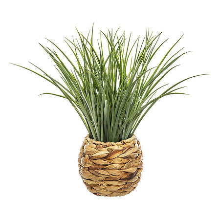 Herbe - Moda
