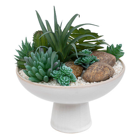 Composition plantes - Soleya