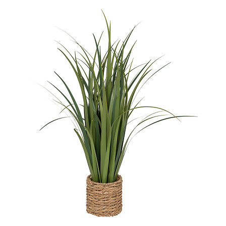 Bunch Lin - Zya