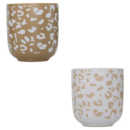 Coffret 4 Tasses Espresso - Leopardi