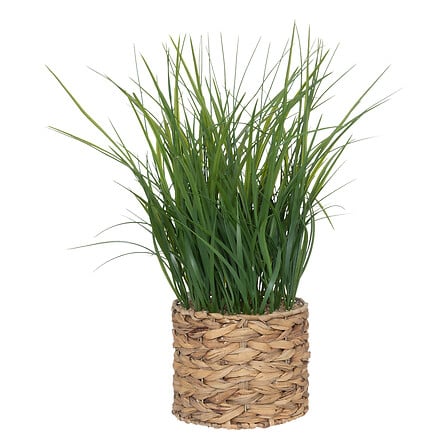 Herbe - Moda