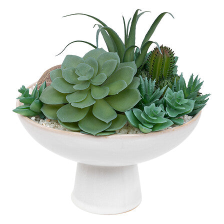 Composition plantes - Soleya