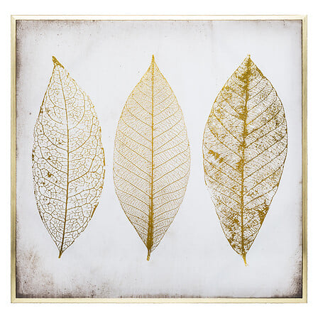 Toile Imprimée - Plume