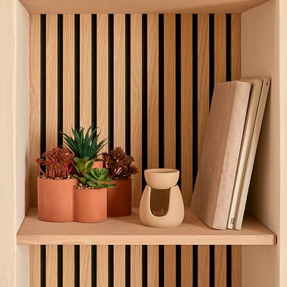 Plante Grasse - Wong