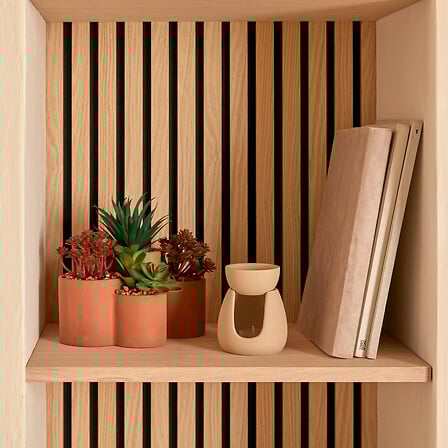 Plante Grasse - Wong